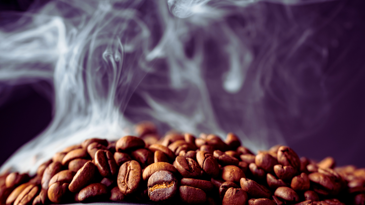What Is the Difference Between Regular Coffee and Specialty Coffee?